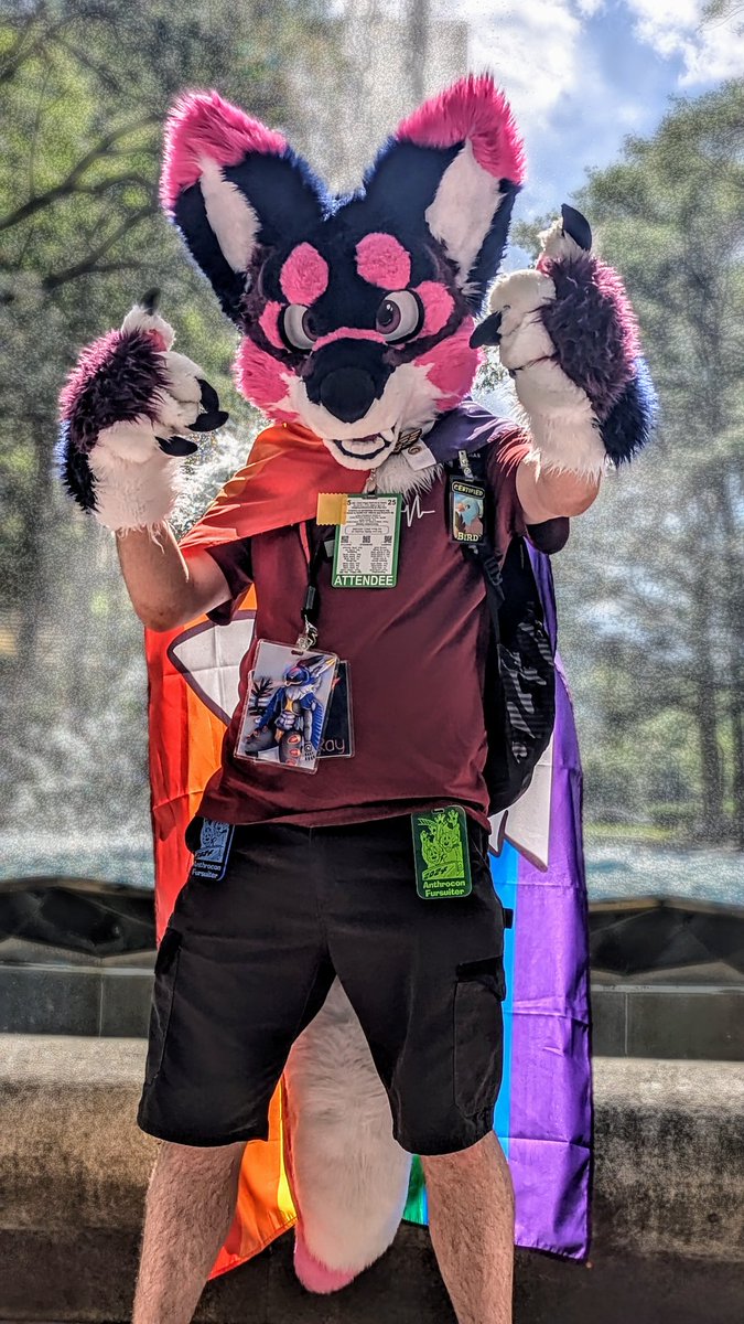 CosmicRayAero's tweet photo. Anthrocon 2025 Day 1 was a blast and I met so many new friends already!
My friend took these pics of Me Enjoy. If you see me during the con come say hi!

Polaris The Folf Partial Fursuit Made by @_SandWich34_
#anthrocon2025 #Anthrocon #Furryfandom https://t.co/vuFnGcLdXm