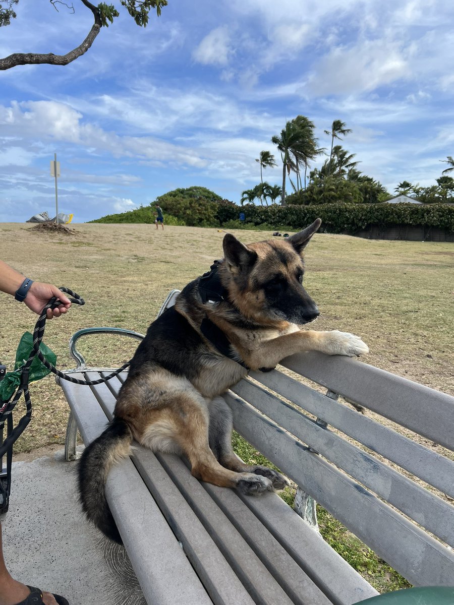 My favorite living thing on earth