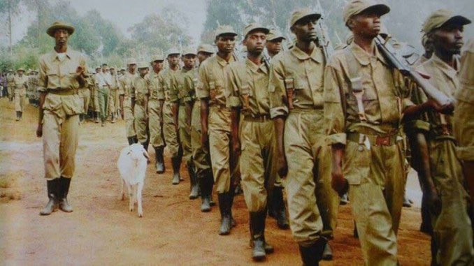 harerimana_tito's tweet image. We celebrate all the selfless souls, father, mothers, brothers and sisters who put they life on the line for the beautiful country 🇷🇼 we are enjoying now🤝

#MyPride🇷🇼
#Inkotanyi 
#Kwibohora31 

Happy Liberation Day to y'all Rwandan 🇷🇼