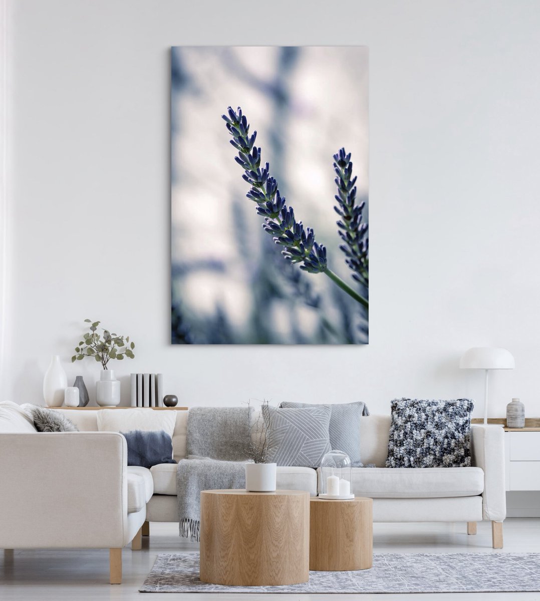 English Lavender Buds I Wall Art and more available: fineartamerica.com/featured/engli… #PhotographyIsArt #wallartforsale #prints #interiordecor #homedecor #BuyIntoArt #giftideas