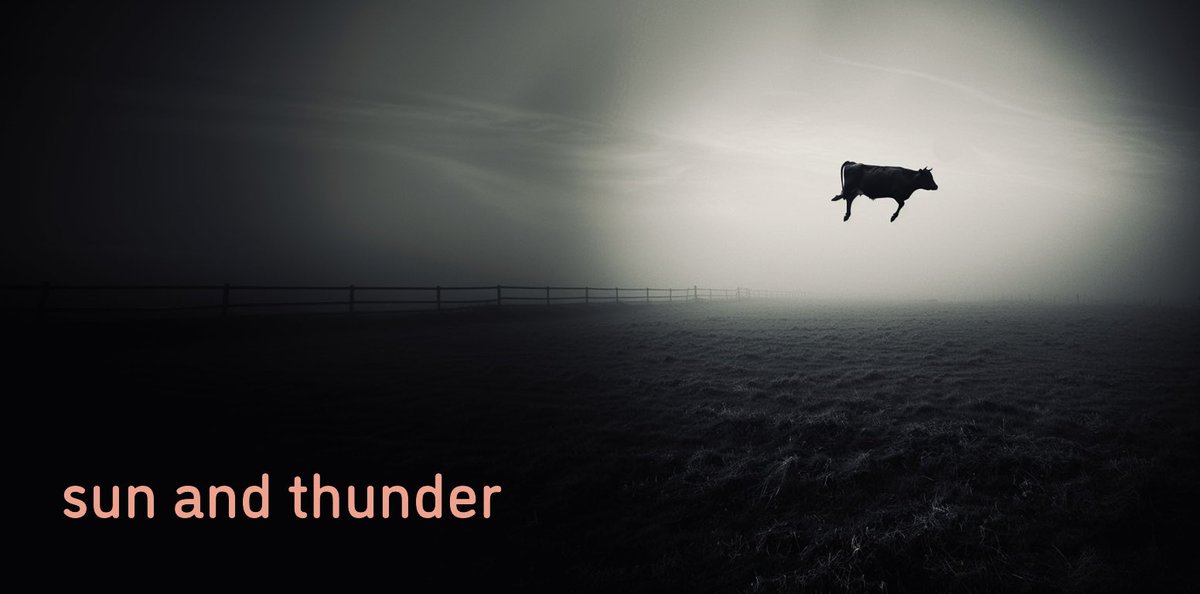 @sunthunder tweet media