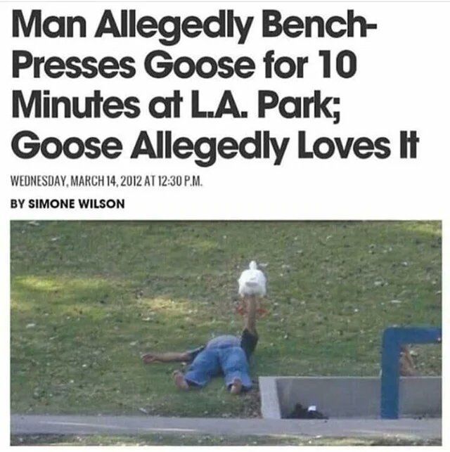WholesomeMeme's tweet photo. https://t.co/q40RX9dUi3