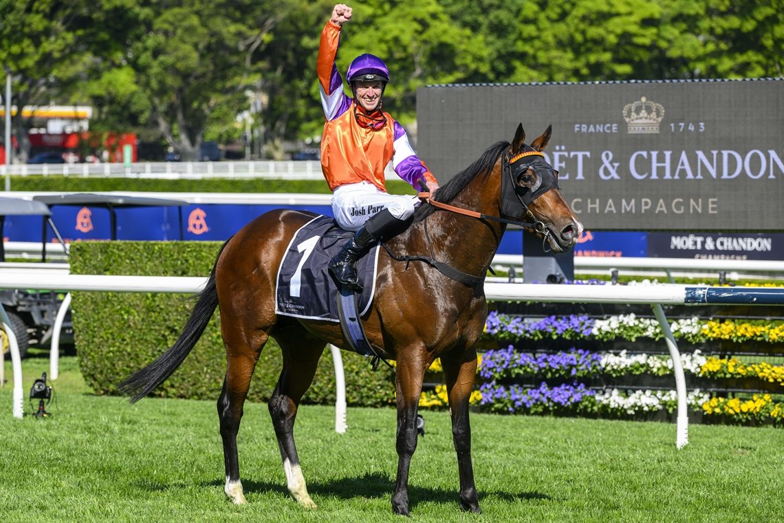 Racing NSW (@racing_nsw) on Twitter photo "He’s a Group 1 winner already and we’ve got to improve on his record."
Joe Pride is in the process of working out what new recruit El Castello's spring target will be but he says the $10m Golden Eagle 🦅 is attractive. 📸 <a href="/Bradley_Photos/">Bradley Photos</a>
STORY: tinyurl.com/2z9uh2zz "He’s a Group 1 winner already and we’ve got to improve on his record."
Joe Pride is in the process of working out what new recruit El Castello's spring target will be but he says the $10m Golden Eagle 🦅 is attractive. 📸 <a href="/Bradley_Photos/">Bradley Photos</a>
STORY: tinyurl.com/2z9uh2zz