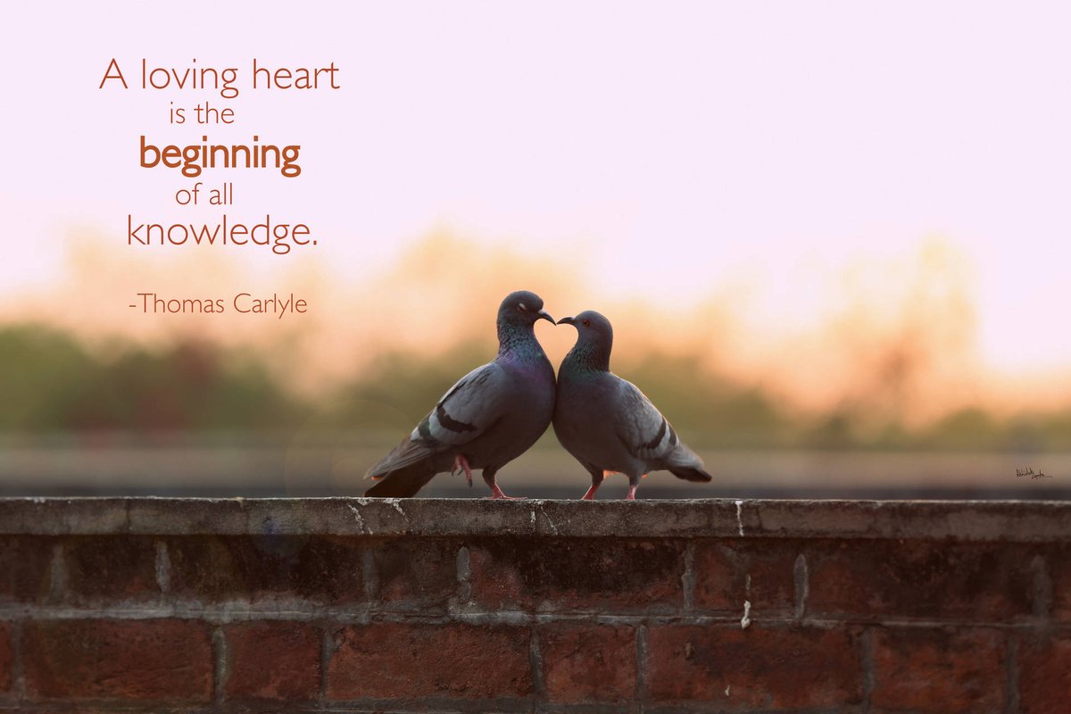 I use Youtube for my learning tasks and find now that I can fold in a quote at the end. Building literacy in subtle and casual ways. Plus parents actually read (who knew, is it the youtube factor?) This picture is for next term
