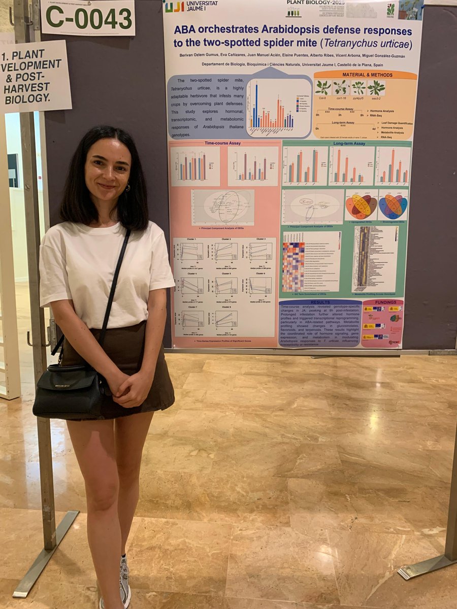 Vicent Arbona tweet media