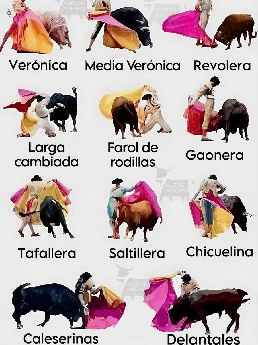 #AprendamosDeTauromaquia