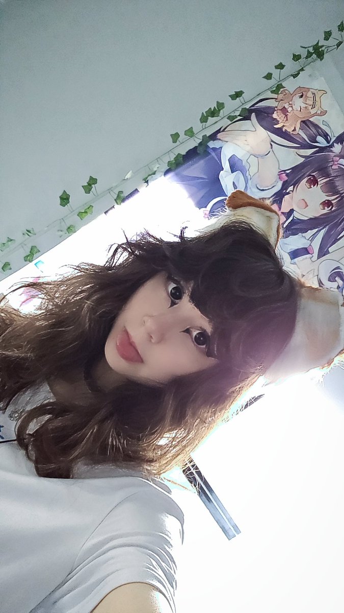 Crumpetsz's tweet photo. I'm too silly ik #kemonomimi #cutecore https://t.co/k2SiUfM9m1