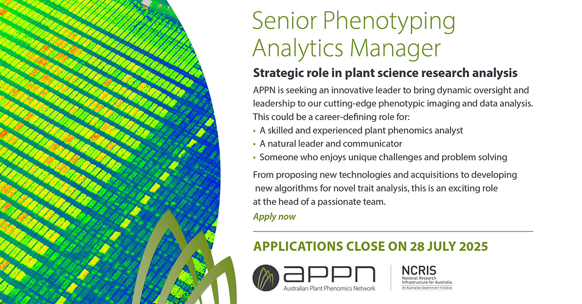 SENIOR ANALYTICS MANAGER wanted. Provide leadership and strategic cut-through for our national plant phenotyping infrastructure and analytics team. Don’t miss this challenging, exciting and satisfying career move! Closes 28 July. See careers.adelaide.edu.au/cw/en/job/5169…