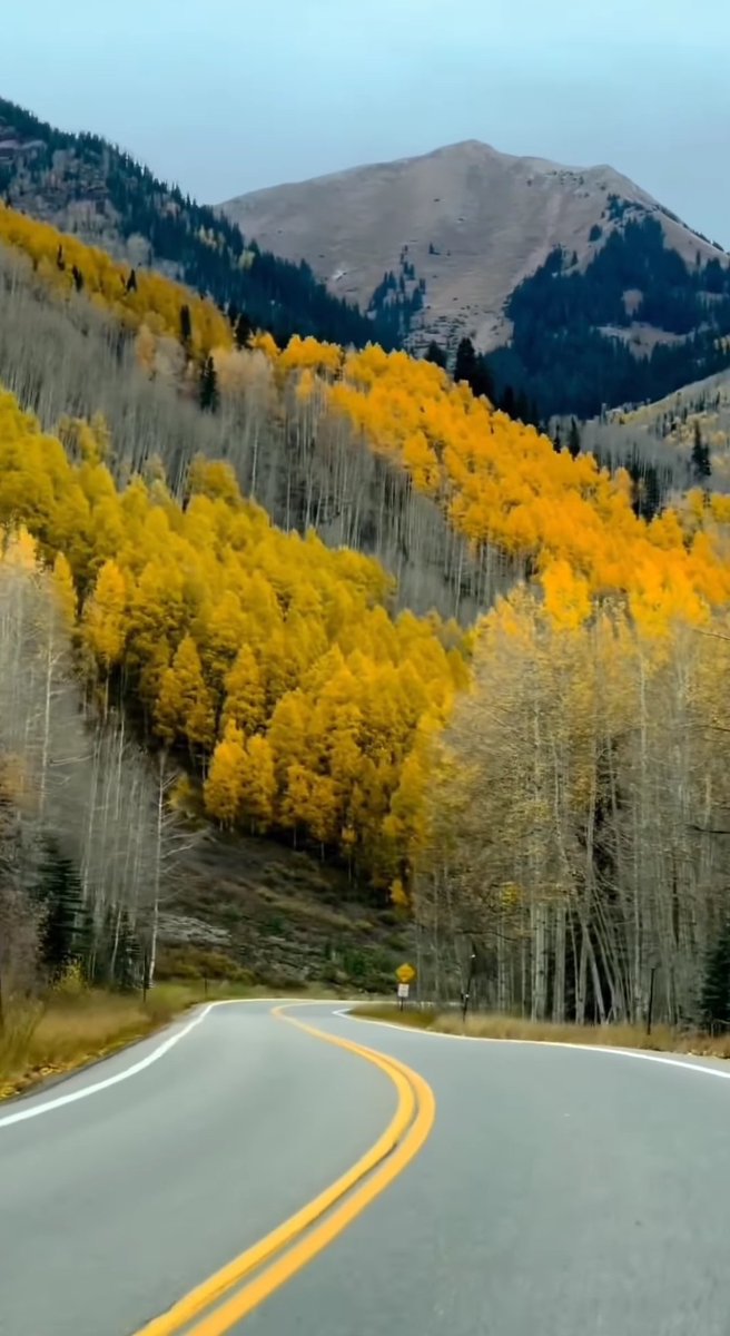 Sabır,
Şükür,
İyilik,
Helal rızık,
Dua;
Hayırlı Cumalar...