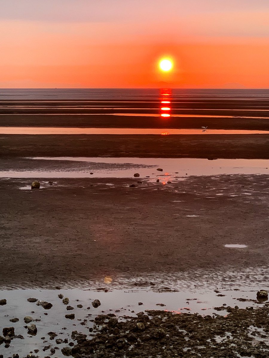 shosinkun's tweet photo. そういえば日本夕日百選の真玉海岸行ってきた☺️ https://t.co/aXoLrjH6yw