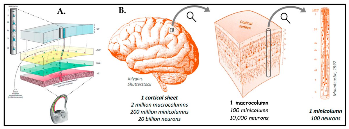 Biosensors_MDPI's tweet photo. 📣Call for Reading:
#Review
Microenvironments Matter: Advances in Brain-on-Chip
by Gülden AKÇAY, Regina Luttge
https://t.co/xrsGq8S9y7
#microenvironments #BrainOnChip #BOCs #microfabrication
#biosensors #openaccess #mdpi https://t.co/TjwekDwkZt