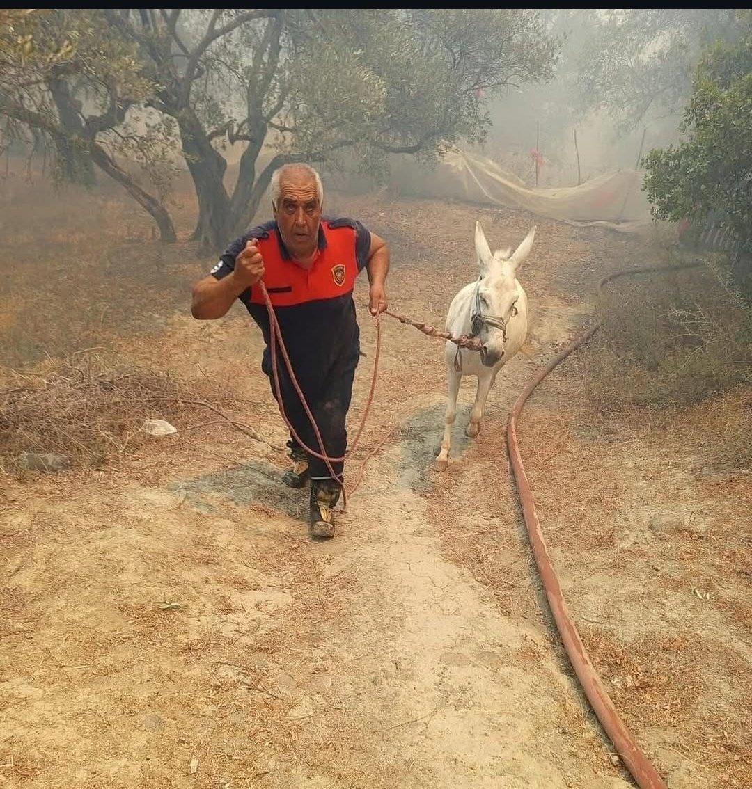 Birileri ayaklarını bağlayıp işkence ederek toplar, birileri kesip öldürerek insanlara yedirir, birileri de bu kahraman itfaiyeci Ahmet İğde gibi canını hiçe sayıp yangından kurtararak kötülere insanlık dersi verir.