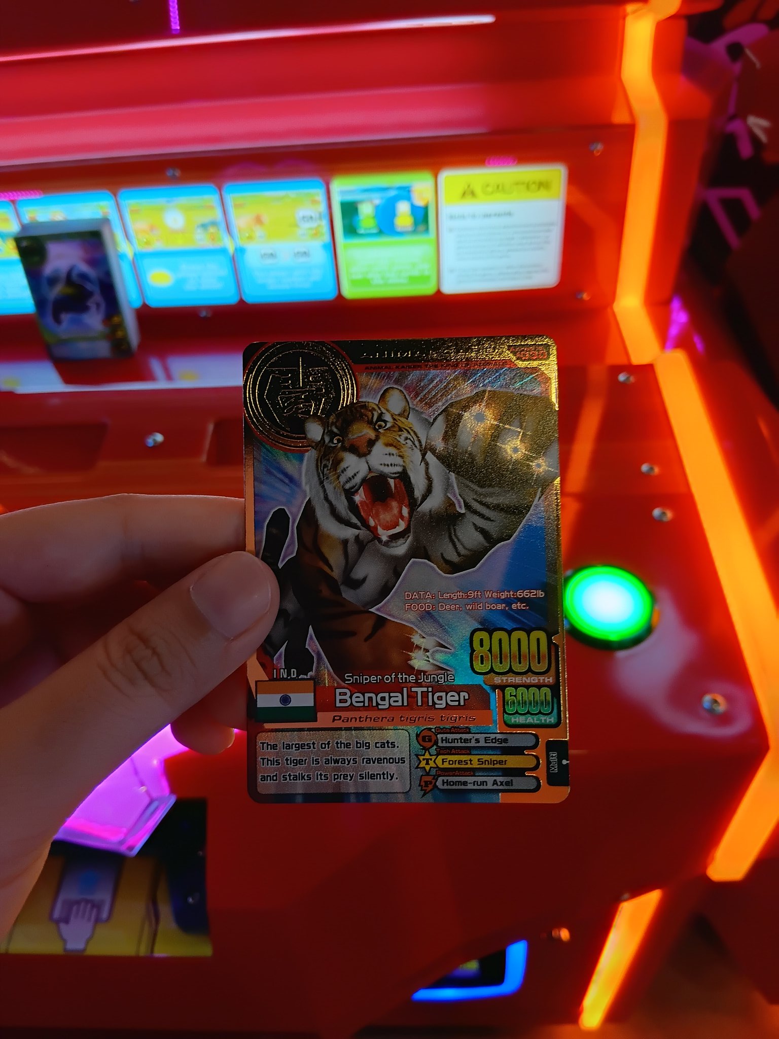 AnimalKaiser - Search / X