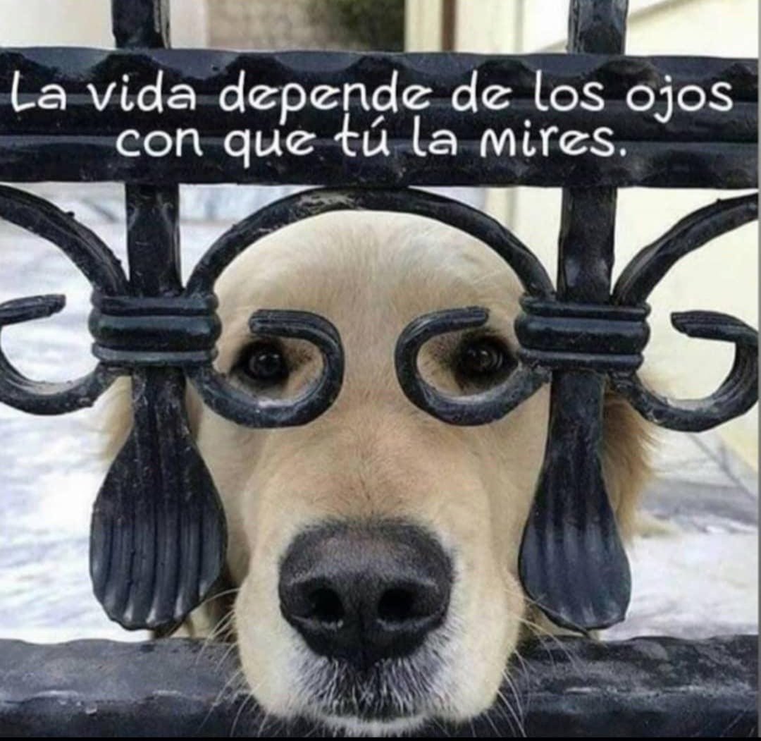 Gina (@ginaojeda26) on Twitter photo 
