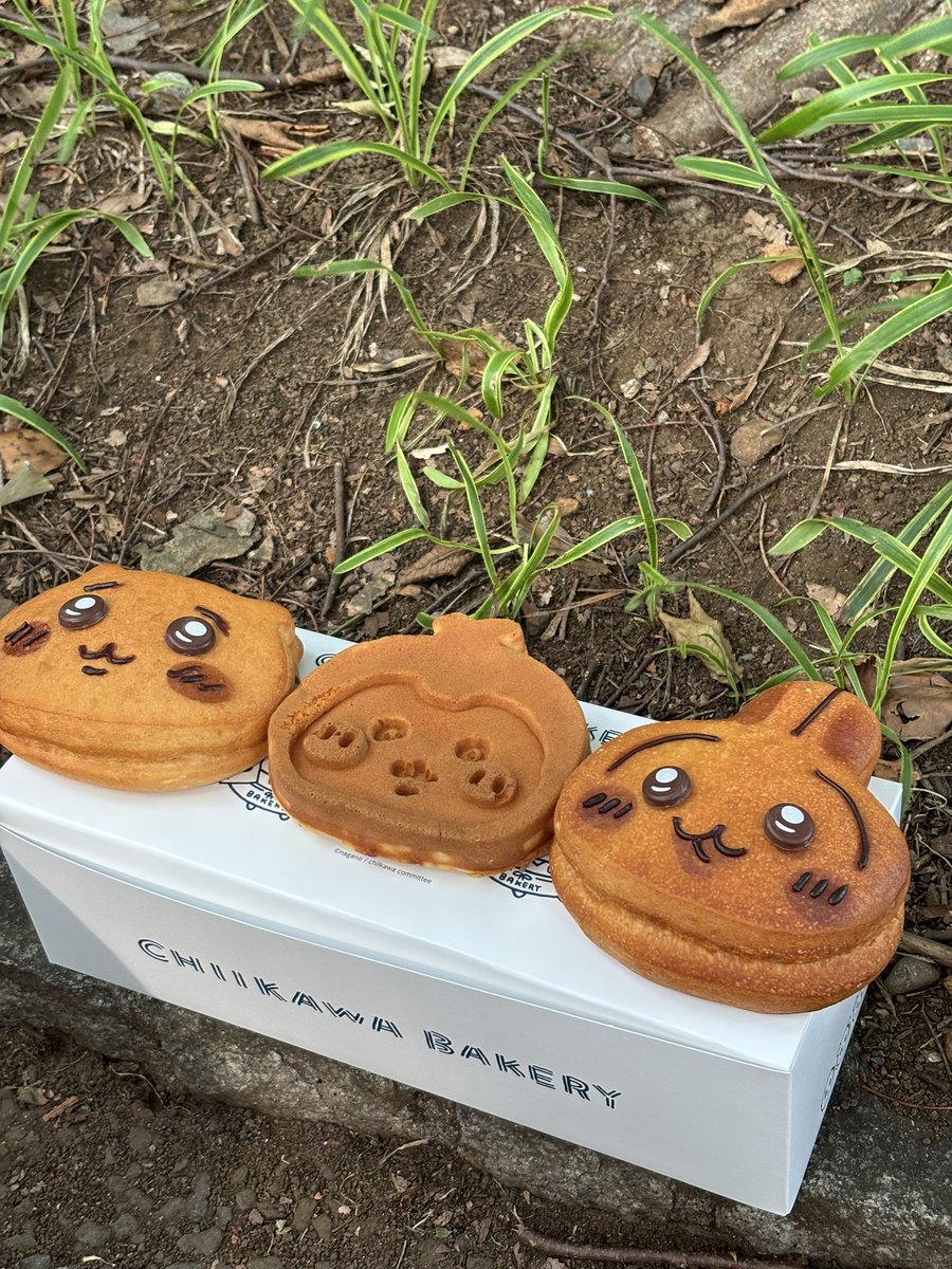 I'm so glad I got to go to <a href="/chiikawabakery/">ちいかわベーカリー</a> when I was in Japan. I was so happy that I cried 🥹