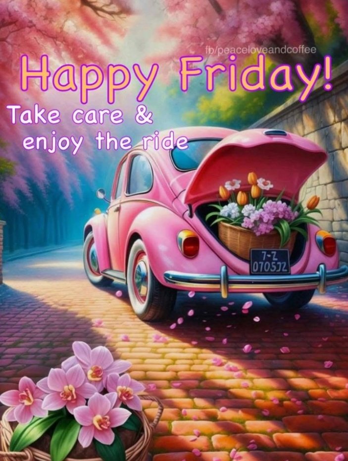 <a href="/ma_yeth/">[★][★]</a> <a href="/Luisa1E/">Luisa Elena 🌹Luisa🌷</a> <a href="/majd9757/">M</a> <a href="/Hansraj06914151/">Hansraj Chauhan</a> <a href="/andreawan_/">andre</a> <a href="/MirCaro/">CaroMir</a> <a href="/Ahksoglu/">Ksgl</a> <a href="/ladha_man/">Man Mohan Ladha</a> <a href="/nazb4u/">メʝօɨռRΐ∂d͢͢͢leℝ</a> <a href="/Girijesh888/">—͟͞͞❡𝑰℞𝑰𝐉Σꢺᵸ —͟͞͞ ®</a> <a href="/Luca25ita/">🖤𝐿ucas ҉~ #𝙇𝙤𝙫𝙚&𝙋𝙚𝙖𝙘𝙚 𓅃</a> <a href="/TweetByAlphabet/">𝗔𝗟𝗣𝗛𝗔𝗕𝗘𝗧</a> <a href="/snowking0011/">snowking</a> <a href="/kom_ofis/">#MY2KOM #MGWV #1DDrive</a> <a href="/GRAHAM15583/">🅶🆁🅰🅷🅰🅼</a> <a href="/ARIFJALALI/">arif jalali</a> <a href="/NlHILIST/">🎩LORD NIHILIST♪ IFB ALL: UNFOLLOW=BLOCK</a> <a href="/Seko_MD/">seko.m.m🐐</a> <a href="/morgan2k21/">Stan Harvard</a> <a href="/CAYDAGOLF/">DeSpeed ၊</a> <a href="/lumpie125/">lumpie125</a> <a href="/bluea125/">BlueA125</a> <a href="/Siogo61/">@siogo61</a> Pleasure dear friend 👋😊
Happy friday 🥳🎈🥳
                  
          •••  <a href="/ma_yeth/">[★][★]</a>  •••
                    🌷🌺🌷

#1DDrive 🩷