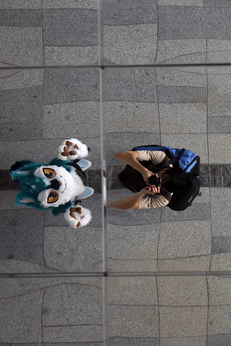 Looking up… or is it down?
#FursuitFriday

🧵: <a href="/CadenzaStudioTW/">CadenzaStudioTW</a>