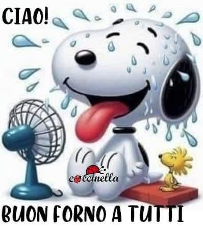 Marianna tweet media