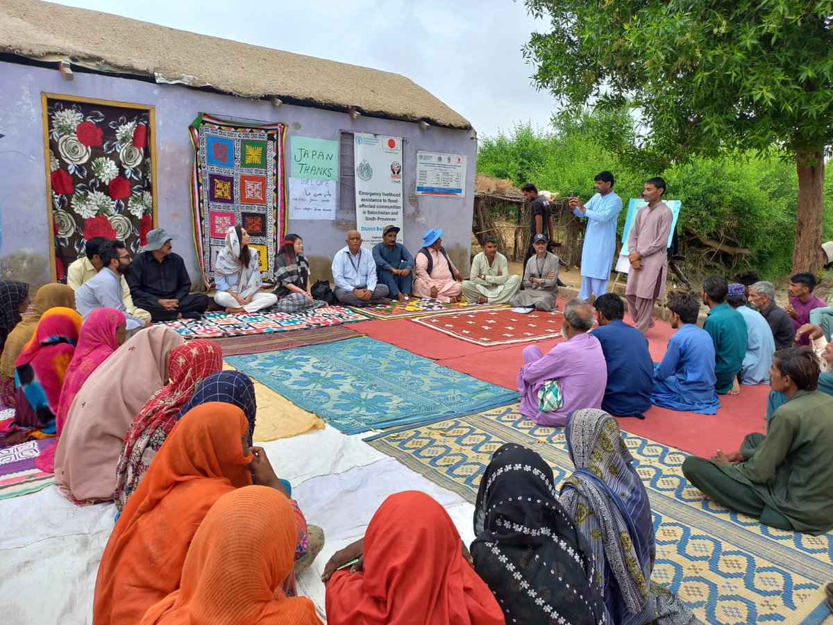 HANDS_Welfare's tweet photo. A high-level delegation visited flood-affected Badin to monitor the Livelihood Assistance Project, supported by the Government of Japan and UNFAO after the 2022 floods.

They appreciated interventions like goat distribution, poultry farming, animal shelters &amp; kitchen gardening. https://t.co/m7BfhaJs87
