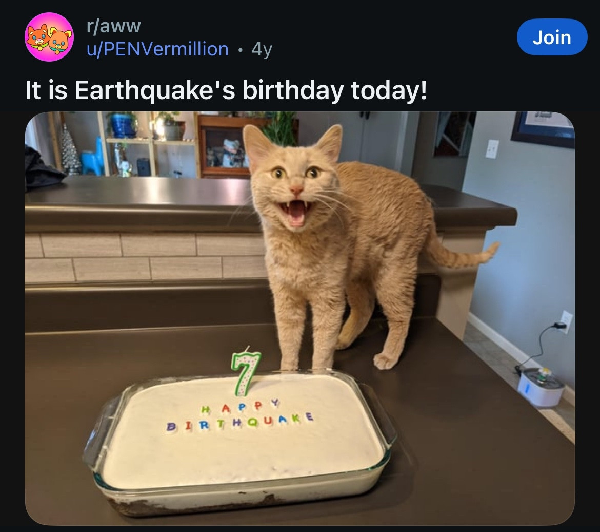 CATBRAINCELL's tweet image. Happy Birthquake!