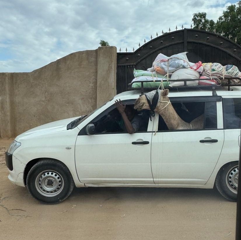 Who has been in shembabure district before?

Anyone around the city you show me around?