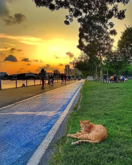 ..
Gün Aysın artık içimizi yaktıklar.. 

Allahım bizleri yangın çıkaranların vicdanından koru

 Ve yangınlarda canla başla çalışan, yardım edenlerin vicdanından nasip et 🤲
#yangın #izmiryanıyor #AntakyaYanıyor #antalyayanıyor