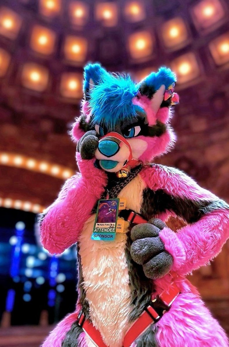 ๐Kota Foxx๐ (@onefluffytail) on Twitter photo anyone at AC want to hang out?! i promise i won't bite too hard! x3
๐ธ: <a href="/cottonott/">cotton the otter</a> anyone at AC want to hang out?! i promise i won't bite too hard! x3
๐ธ: <a href="/cottonott/">cotton the otter</a>