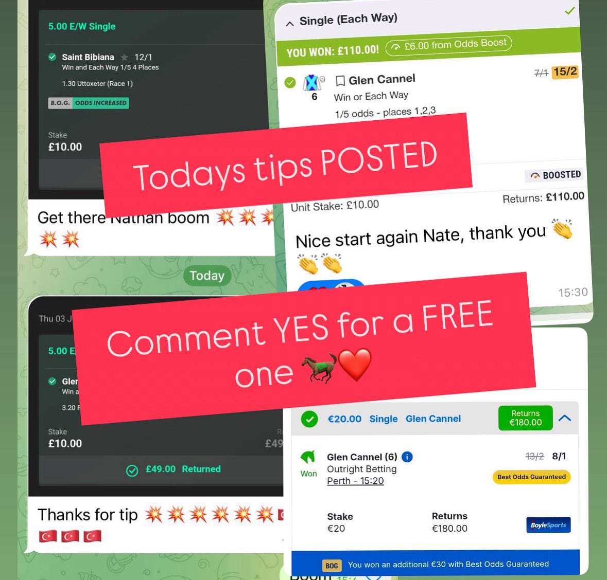 Let’s go - t.me/+ZpSZHR8nDN9iN… 🏆🐎