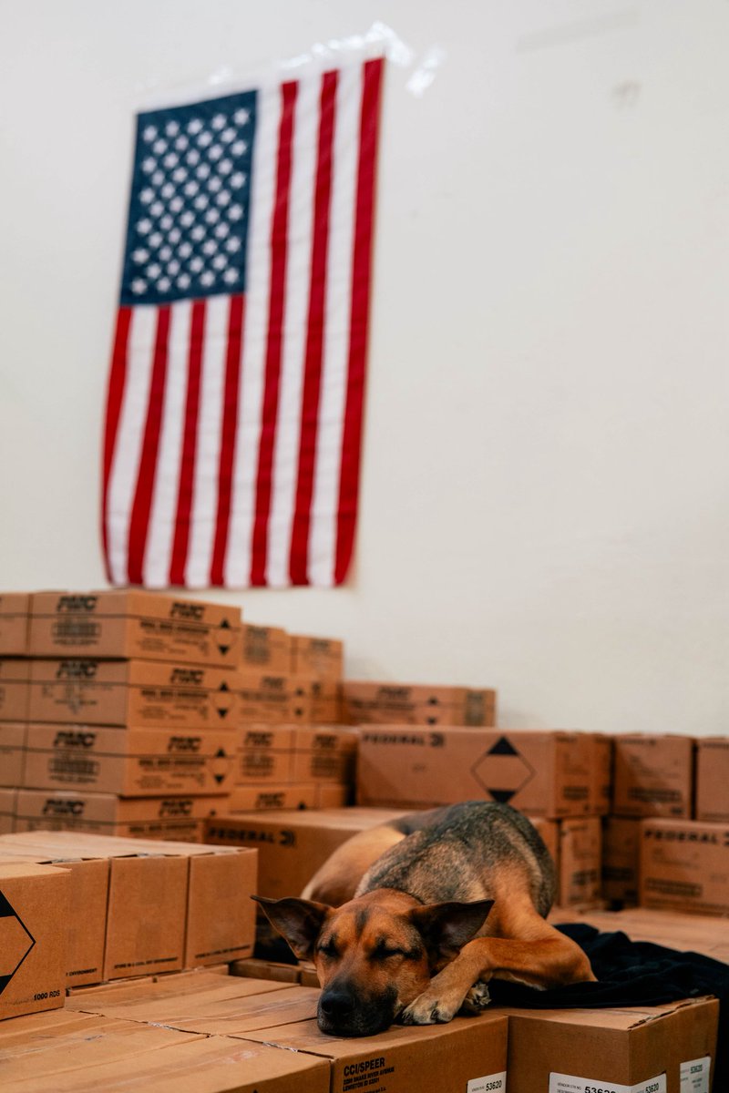PsyTacs's tweet image. AMERICA