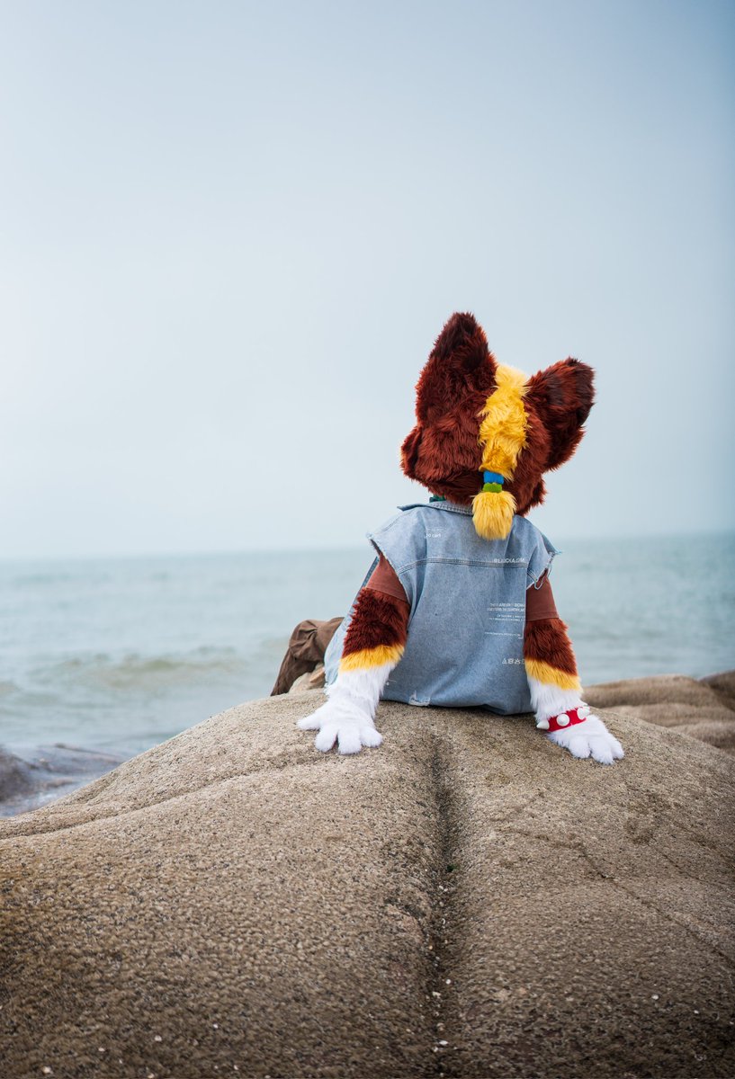 夏日炎炎，海风凉凉🌊

📸<a href="/YIbaibai_/">慕容涵</a>
#FursuitFriday