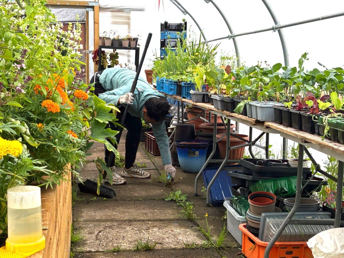 The Monastery Manchester (@themonasterymcr) on Twitter photo Our ace #volunteers have been grafting ๐ฑ๐ช
- Fresh flowers for front of house
- Organic veggies for the cafรฉ
- Plant trolleys bursting with life
- A-frame signs sanded & ready
- Raised beds + arches built (rain? what rain?)
Itโs all happening! ๐ฅ
#UrbanGrowing <a href="/gme_trust/">Greater Manchester Environment Fund</a> Our ace #volunteers have been grafting ๐ฑ๐ช
- Fresh flowers for front of house
- Organic veggies for the cafรฉ
- Plant trolleys bursting with life
- A-frame signs sanded & ready
- Raised beds + arches built (rain? what rain?)
Itโs all happening! ๐ฅ
#UrbanGrowing <a href="/gme_trust/">Greater Manchester Environment Fund</a>