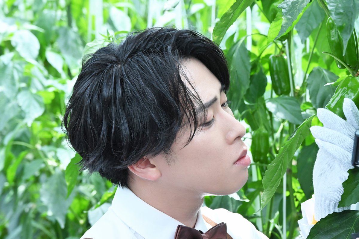 宮舘王国の市民様ページ Mぽて🌹🏳️ (@mpote0325) / Posts / X