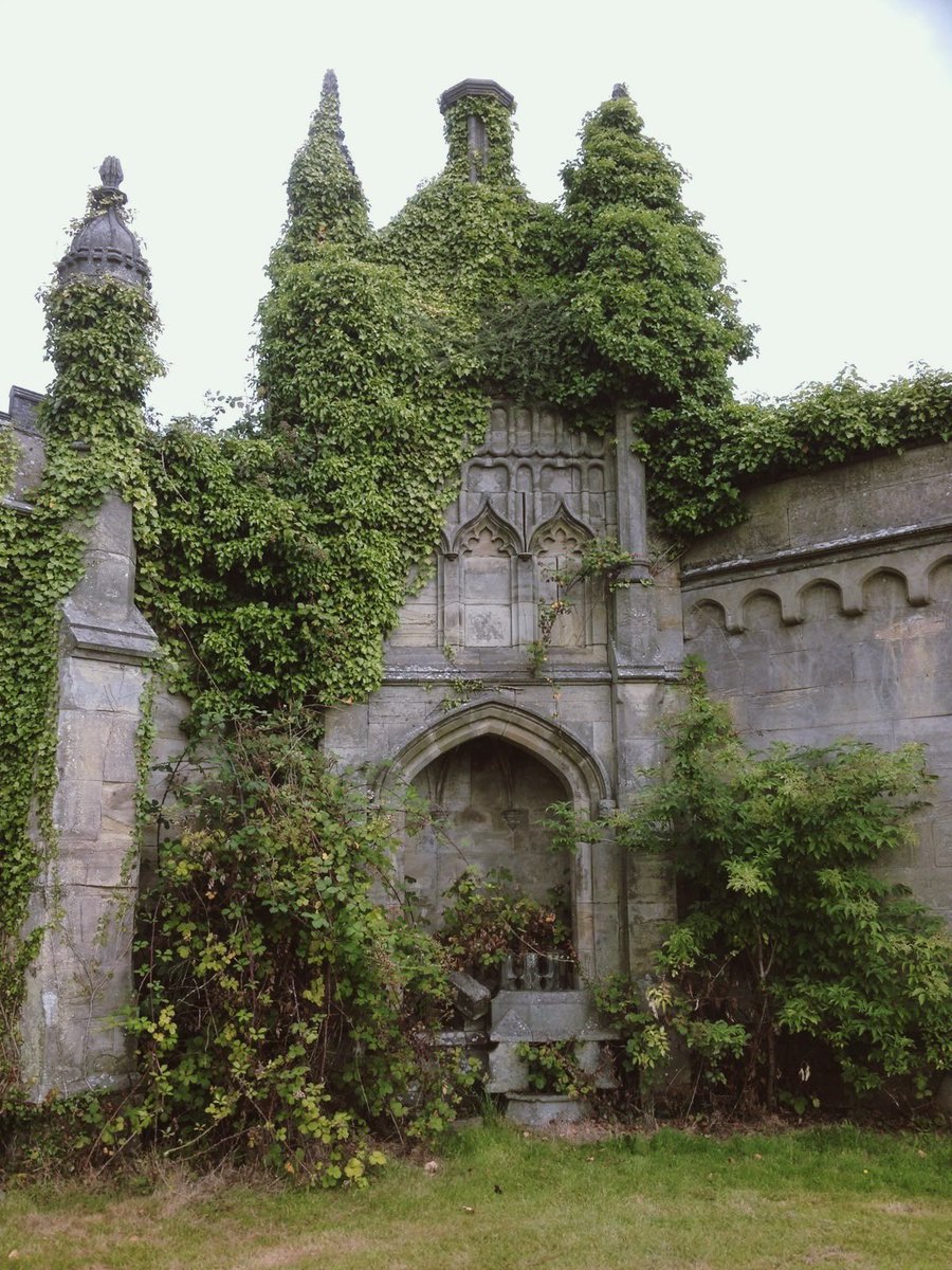 timidfaerie's tweet image. 