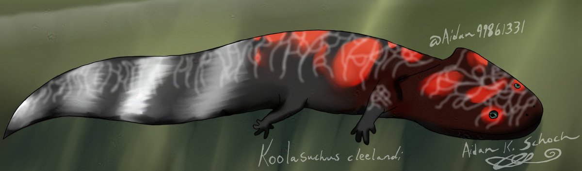 Swimming in the dark waters of Antarctica in the Early Cretaceous is koolasuchus cleelandi, the last of the temnospondyls. Guess it doesn't mind the cold!