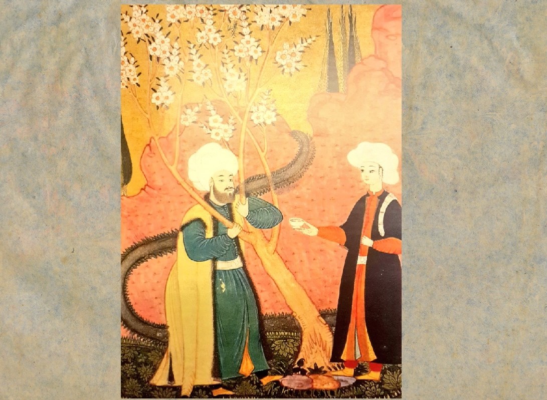 Emretas1903's tweet image. Osman'ın rüyasındaki ağaç "devletlü" idi, göçerlikteki gibi kült değildi ama Tanrısaldı. Ozan, "gölgeli kaba ağacın kesilmesin" diye dua kılardı. Devlet donanmaya ağaç istediğinde direnen yine halktı (1770, Kartal). Nakkaş müderrisi resmederken onu ağaçla koyun koyuna düşledi...