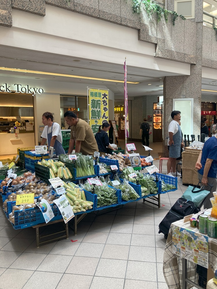 MinatomiraiNow's tweet image. 🌽3日間限定「神奈川マルシェ』開催中🍅
とれたての野菜やくだもの、クラフトコーラやビールなど地元の名産品が揃ってます🤩
キュウリ🥒もこんなに大きくてびっくり❣
笑顔が素敵なお兄さんが美味しい食べ方を説明してくれました😁
📅~7/6(日)
🥝ランドマークプラザ1F(横浜ランドマークタワー)