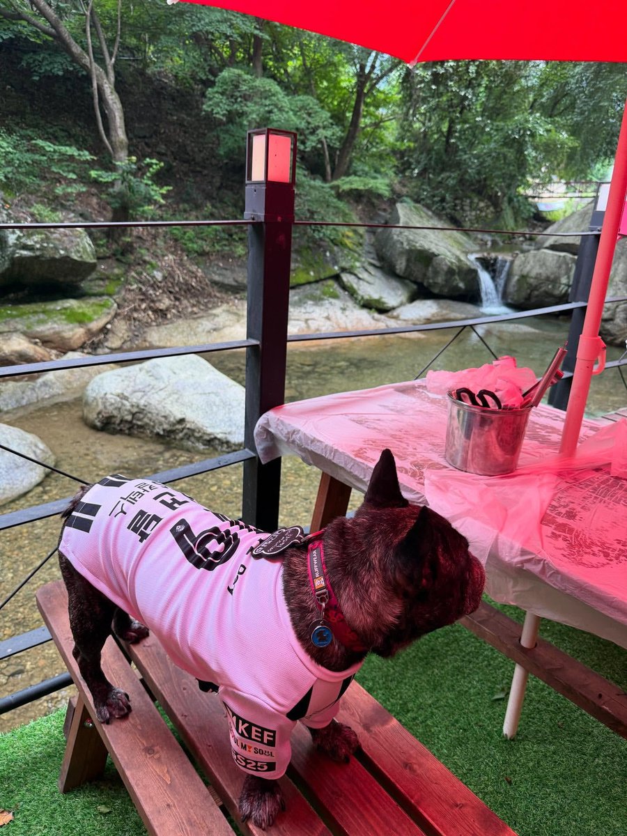 계곡 능이백숙 말아주는 축선 실존 (feat. 강쥐)