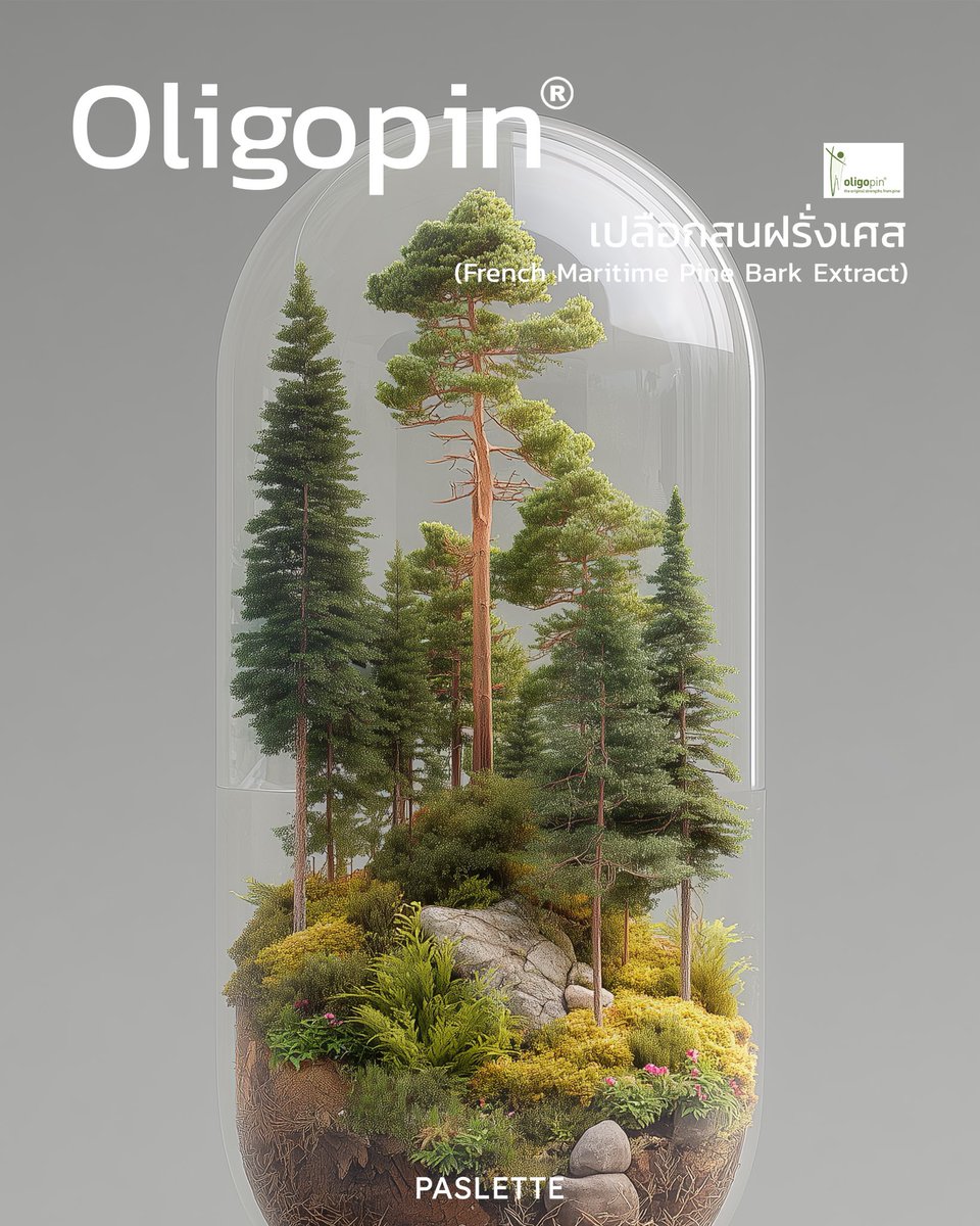 paslette_'s tweet photo. Oligopin (สารสิทธิบัตร) เปลือกสนฝรั่งเศส
จากป่าสน les Landes ขึ้นชื่อว่าเป็นป่าที่ดีที่สุดของฝรั่งเศส https://t.co/swvZsFqZIi