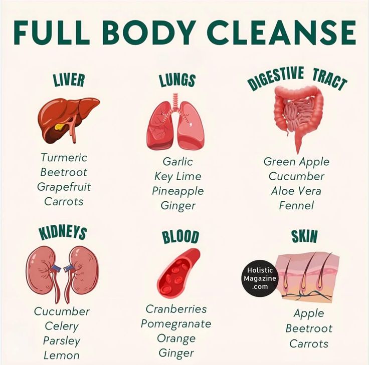 🚨  FULL BODY CLEANSE

  - LIVER
    - Turmeric
    - Beetroot
    - Grapefruit
    - Carrots

  - LUNGS
    - Garlic
    - Key Lime
    - Pineapple
    - Ginger

  - DIGESTIVE TRACT
    - Green Apple
    - Cucumber
    - Aloe Vera
    - Fennel

  - KIDNEYS
    - Cucumber
    -