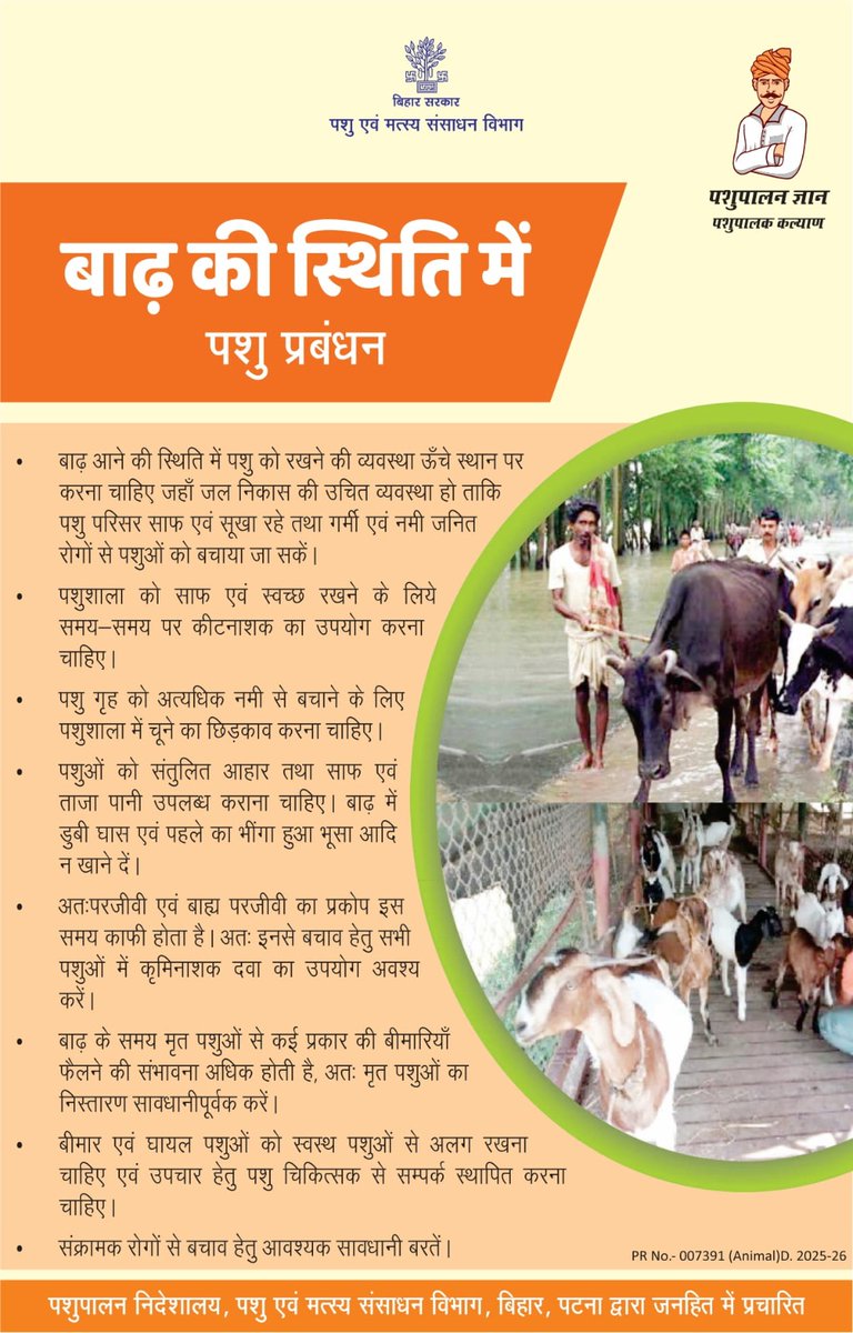 Animal & Fisheries Resources Dept., Bihar (@biharafrd) on Twitter photo बाढ़ की स्थिति में पशु प्रबंधन।
<a href="/renu_bjp/">Renu Devi 🇮🇳</a>
<a href="/Agribih/">Agriculture Department, Govt. of Bihar</a>
<a href="/Dept_of_AHD/">Dept of Animal Husbandry & Dairying, Min of FAH&D</a>
<a href="/IPRDBihar/">IPRD Bihar</a>
<a href="/vijayaias/">nvijayalakshmi</a>
<a href="/HorticultureBih/">Directorate Of Horticulture, Deptt of Agri, Bihar</a>
#comfed
#dairy
#pashupalak
#fish
#fisheries बाढ़ की स्थिति में पशु प्रबंधन।
<a href="/renu_bjp/">Renu Devi 🇮🇳</a>
<a href="/Agribih/">Agriculture Department, Govt. of Bihar</a>
<a href="/Dept_of_AHD/">Dept of Animal Husbandry & Dairying, Min of FAH&D</a>
<a href="/IPRDBihar/">IPRD Bihar</a>
<a href="/vijayaias/">nvijayalakshmi</a>
<a href="/HorticultureBih/">Directorate Of Horticulture, Deptt of Agri, Bihar</a>
#comfed
#dairy
#pashupalak
#fish
#fisheries
