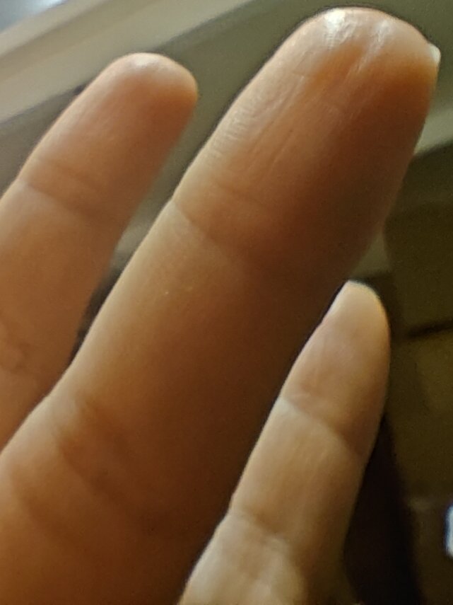 一只废物猫 tweet media