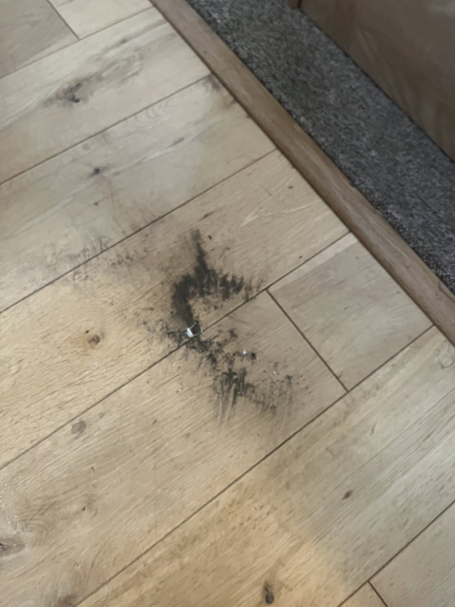 andrew horsfield tweet media