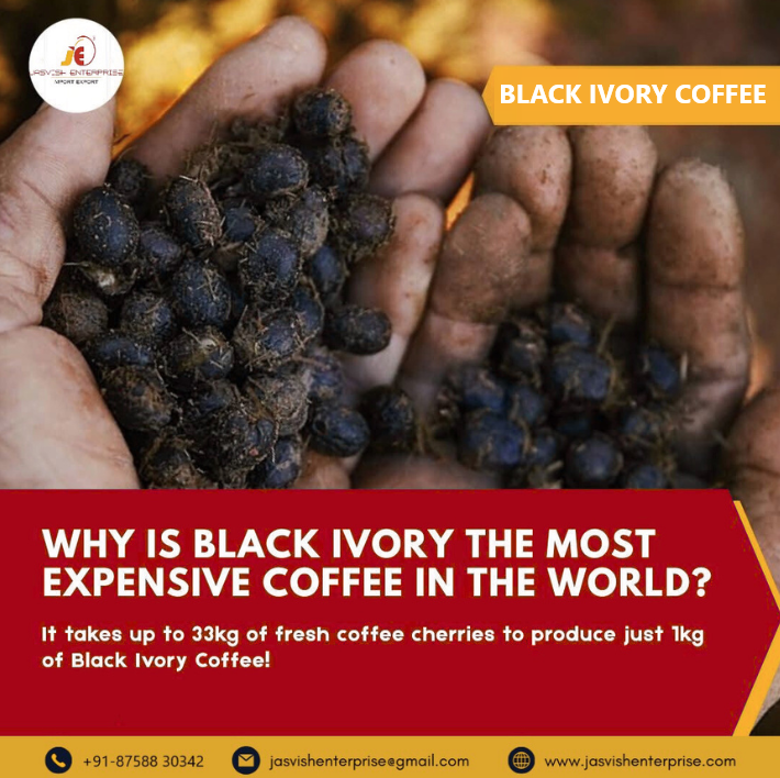 JasvishE's tweet photo. ☕🐘 BLACK IVORY COFFEE – THE WORLD’S MOST EXCLUSIVE BREW! 🌍✨

This luxurious coffee goes through a special fermentation process involving elephants 🐘, resulting in an ultra-smooth, rich, and unique flavor.

#BlackIvoryCoffee #luxurycoffeetable☕ #rarecoffee #coffeelovers ❤️ https://t.co/7HJ3JCEUF1