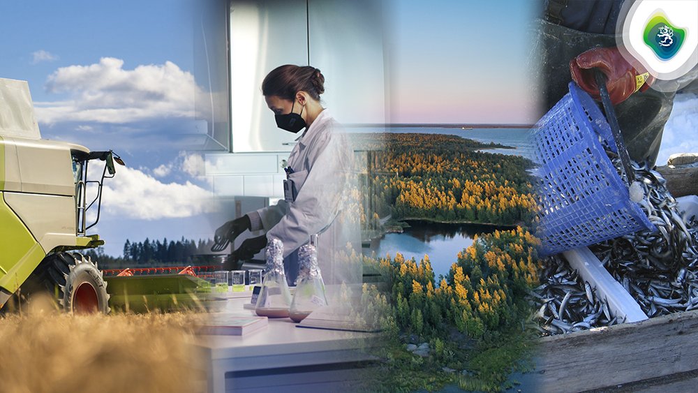 Tule rakentamaan Suomesta biotalouden ykkösmaata! 🥦🫐🐟
Maa- ja metsätalousministeriö hakee kolmea osastopäällikköä vuoden 2026 alussa toimintansa aloittaviin ruoka- ja tutkimus-, maa- ja kalatalouselinkeinojen ja luonnonvaraosastoihin.
<a href="/mmm_fi/">MMM</a> #Biotalous
biotalous.fi/oletko-rohkea-…