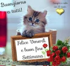 RITABIANCHi56 tweet media