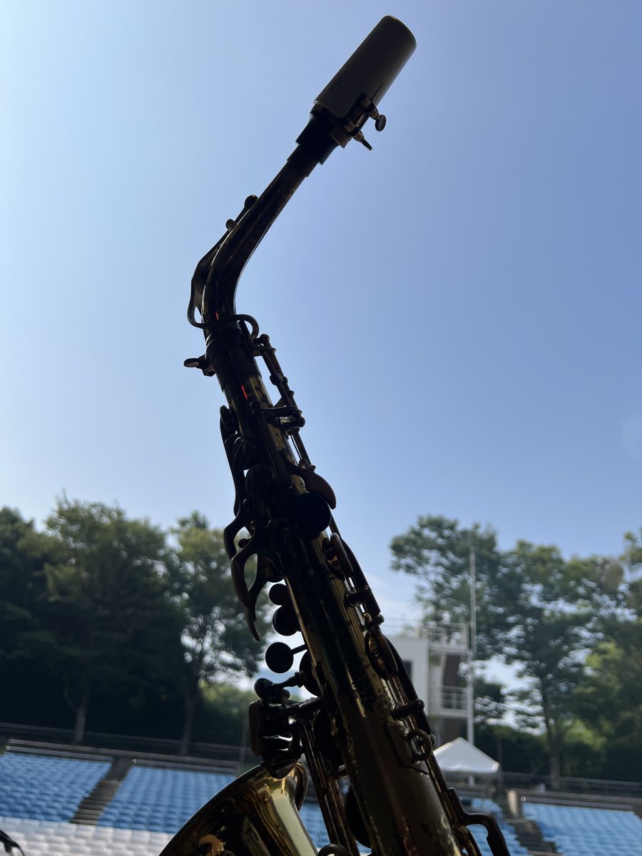 久々の大阪野音。
ハイパー楽しみ。
#サウコネ