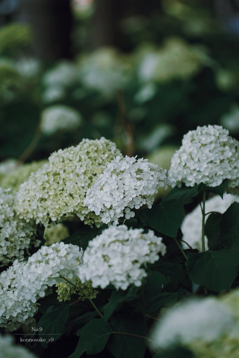 ▷ Have a good night.  …