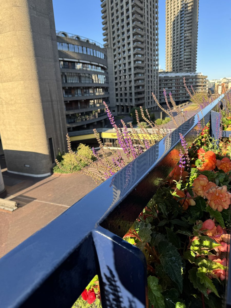SiFrew's tweet image. Good morning #London &amp;amp; happy Friday &amp;amp; 4th of July. My #Barbican #windowboxes are looking fabulous. Resident of #TheBarbican sifrew.com