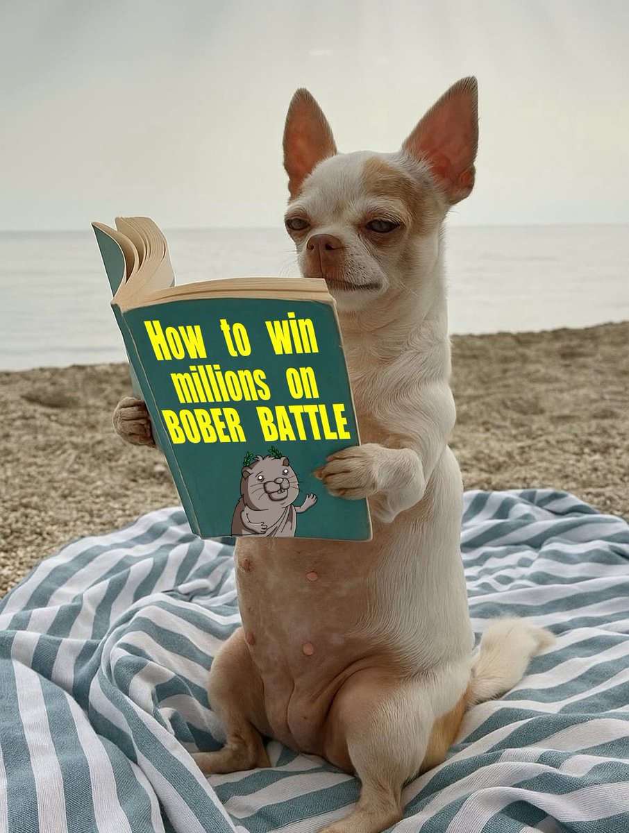 BOBER Battle tweet media