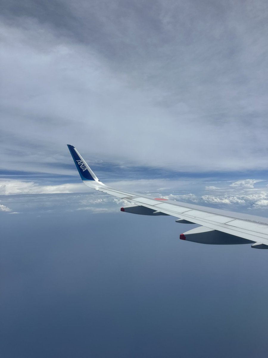 きときと (@mrdsnq) on Twitter photo 